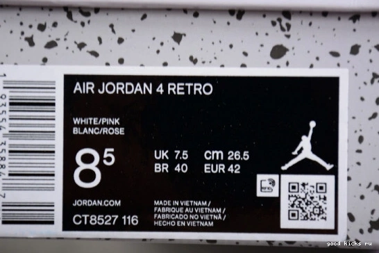 Air Jordan 4  Wow Cacao CT8527-116 CT8527-116 GS 0413